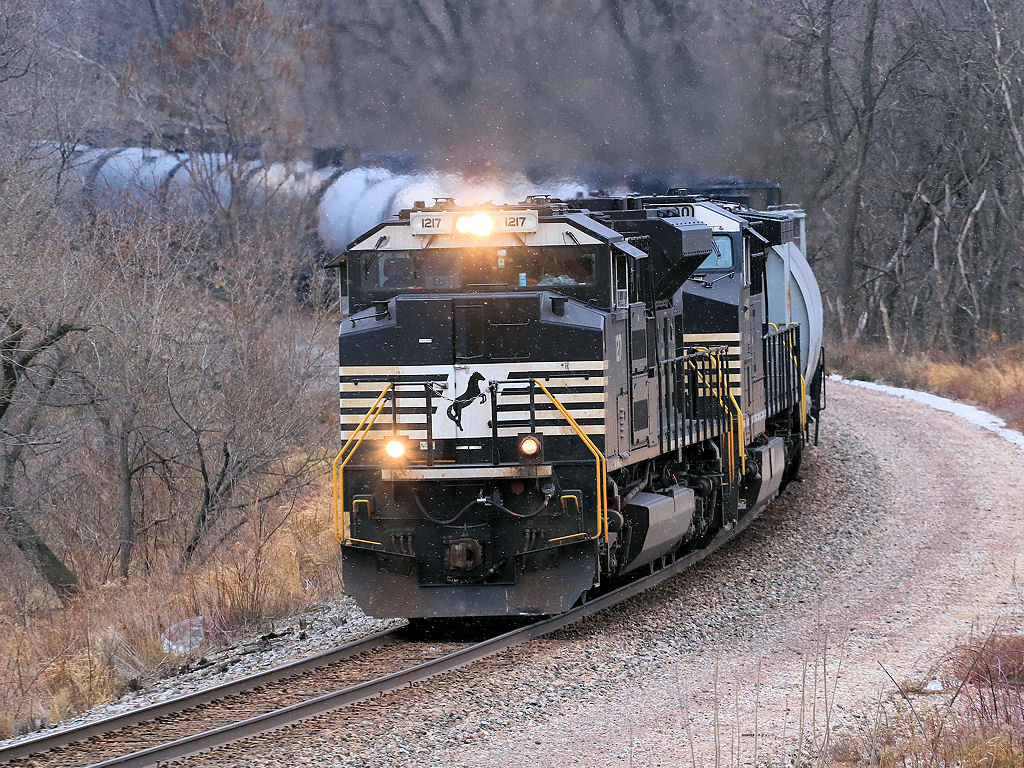 NS 1217